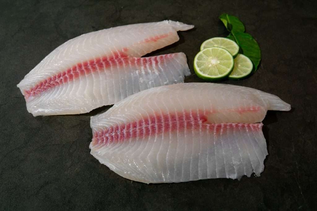 Fillet Ikan Tilapia